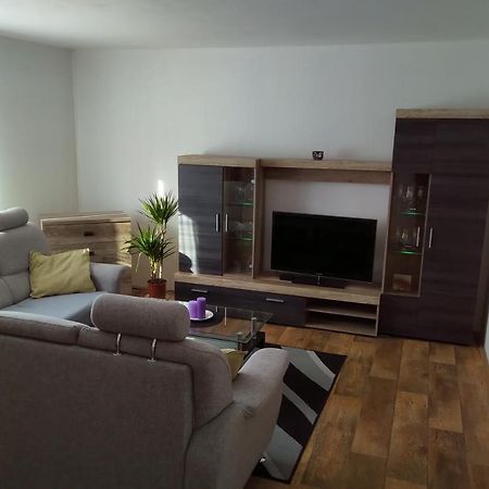 شقة Apartman Pod Rickami Rokytnice v Orlických Horách المظهر الخارجي الصورة
