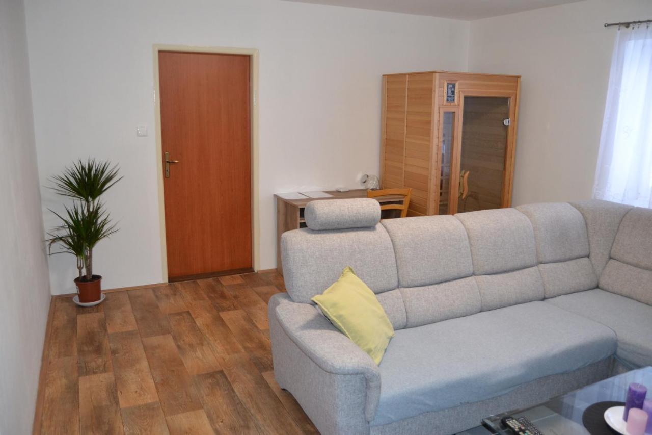 شقة Apartman Pod Rickami Rokytnice v Orlických Horách المظهر الخارجي الصورة